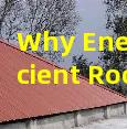 Why Energy-Efficient Roofing is a Top Priority for 2025 Homebuyers